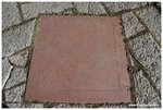 IMG_1332
