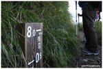�Z���ƶ�8.0 km 
�U�U������