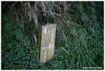 �Z���ƶ�4.5 km
