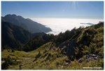 IMG_1809