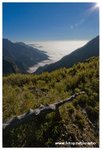 IMG_1817