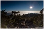 IMG_1852