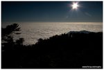 IMG_1859