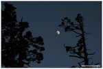 IMG_1903
