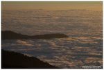IMG_1907