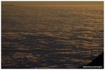 IMG_1908