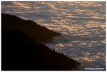 IMG_1911