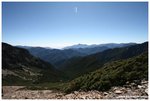 IMG_2231