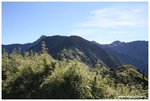 IMG_2862