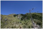 IMG_2876