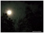 DSCN4624