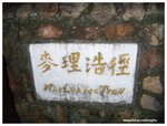 DSCN4660