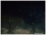 DSCN4681