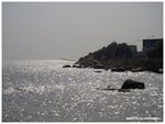 DSCN5130