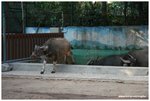 IMG_4865