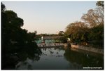 IMG_4951