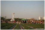 IMG_5219
