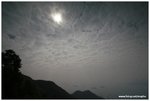 IMG_6856