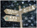 DSCN5411
