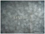 DSCN5480