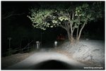 IMG_7245