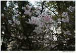 IMG_0061