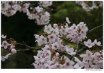 IMG_0254
