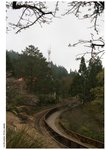 IMG_8812