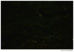 IMG_0911