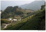 IMG_1008