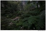 IMG_1355