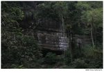 IMG_1361