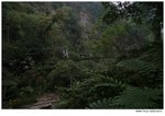 IMG_1369