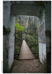 IMG_1376