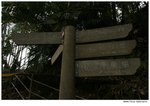 IMG_1468