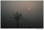 IMG_0863