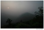 IMG_0865