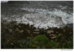 IMG_3897
