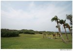 IMG_3928