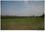 IMG_8166