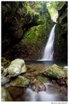 IMG_0275