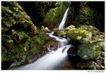 IMG_0301