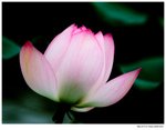 IMG_0578