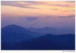 IMG_0005