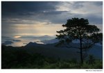 IMG_0155