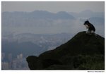 IMG_0398