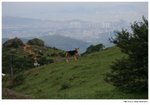 IMG_0428