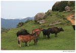 IMG_0439