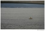 IMG_0506