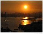 IMG_6294